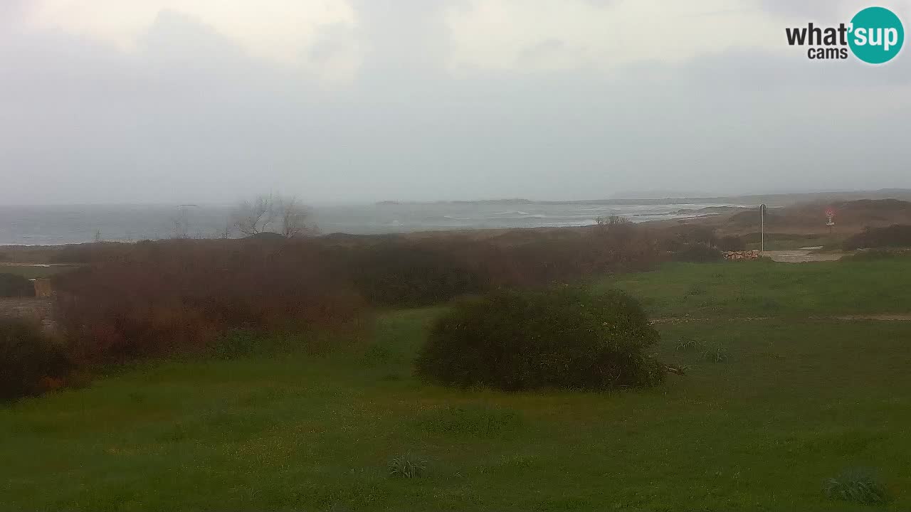 Plage Mari Ermi | Is Arutas – Oristano