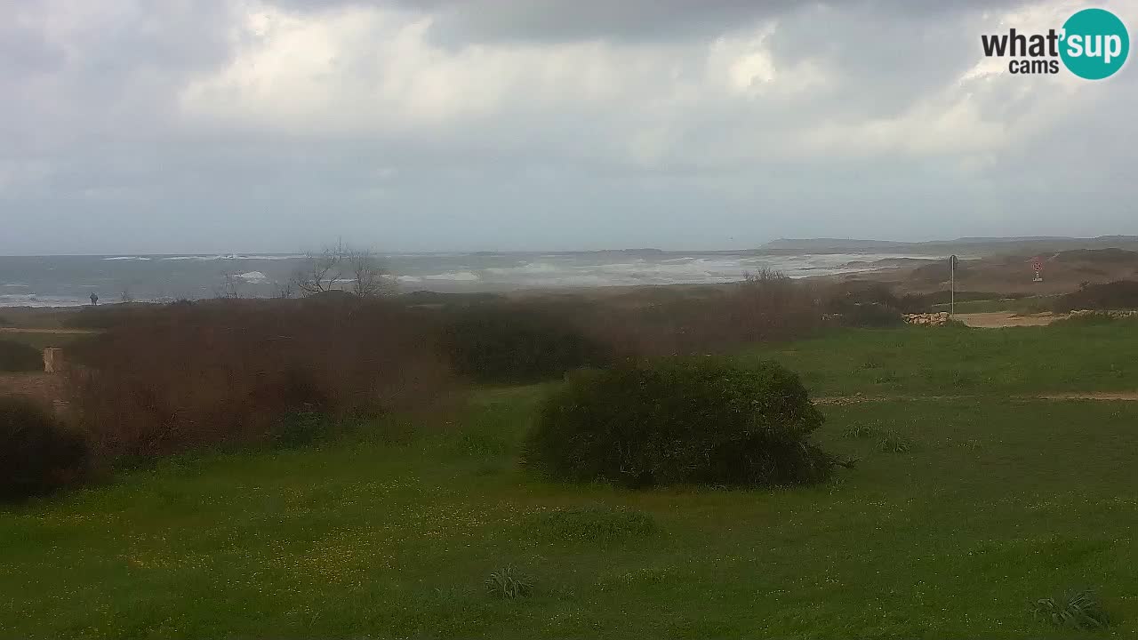 Mari Ermi beach | Is Arutas – Oristano