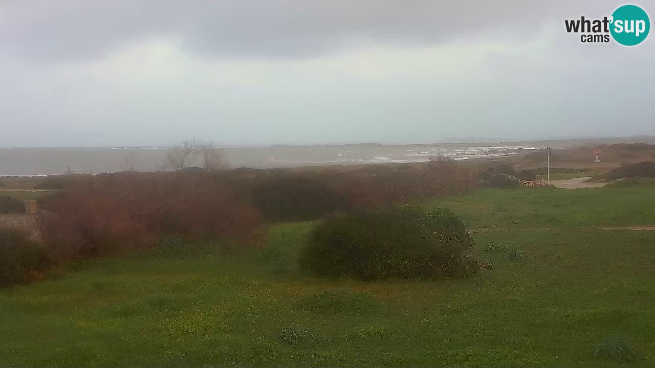 Plage Mari Ermi | Is Arutas – Oristano