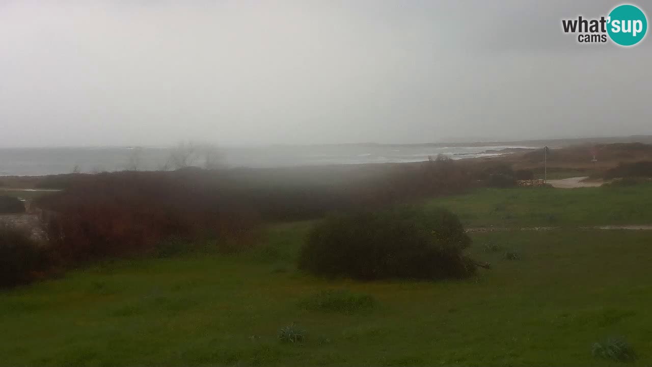 Plage Mari Ermi | Is Arutas – Oristano