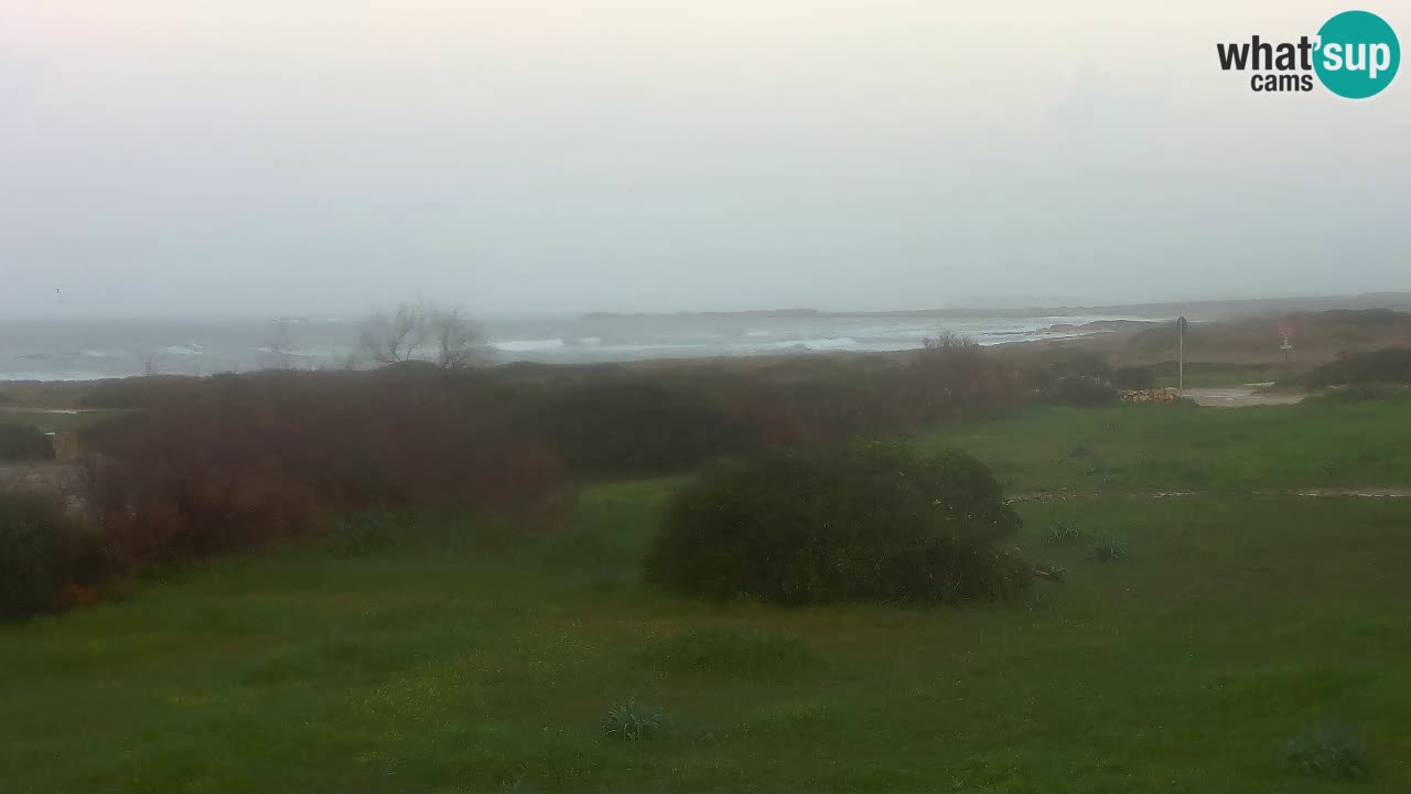 Playa Mari Ermi | Is Arutas – Oristano