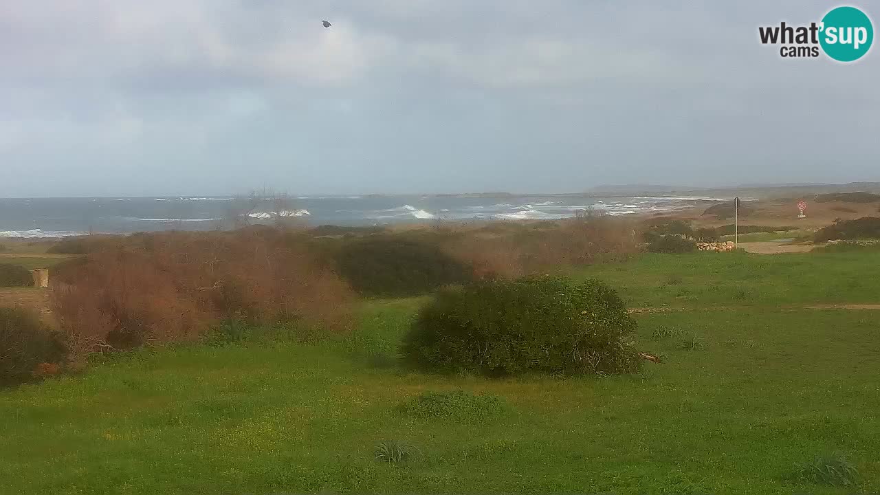 Plaža Mari Ermi | Is Arutas – Oristano