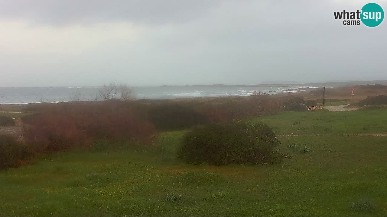 Spiaggia Mari Ermi | Is Arutas – Oristano