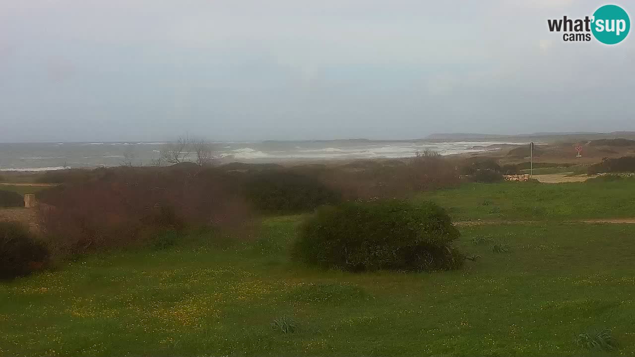 Mari Ermi Strand | Is Arutas – Oristano