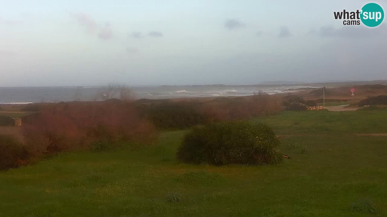 Spiaggia Mari Ermi | Is Arutas – Oristano