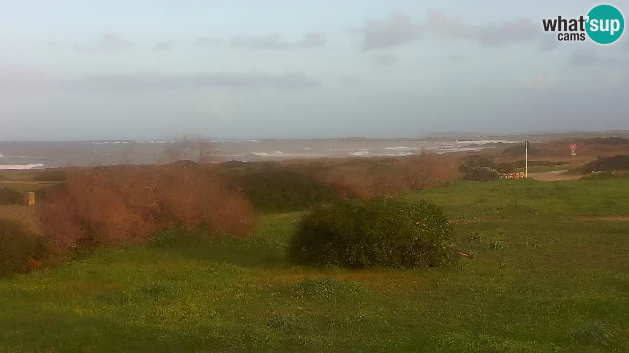 Plaža Mari Ermi | Is Arutas – Oristano