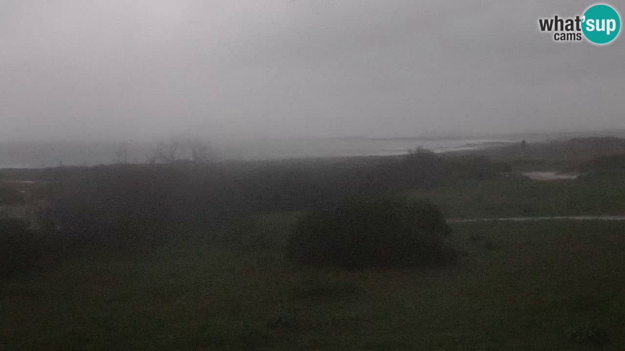 Plage Mari Ermi | Is Arutas – Oristano