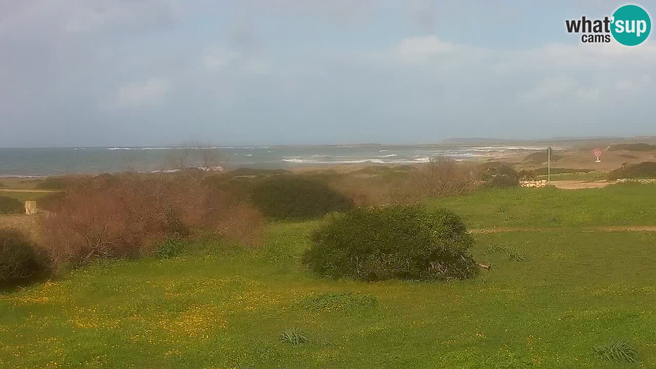 Mari Ermi Strand | Is Arutas – Oristano