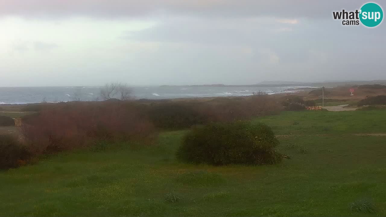 Mari Ermi beach | Is Arutas – Oristano