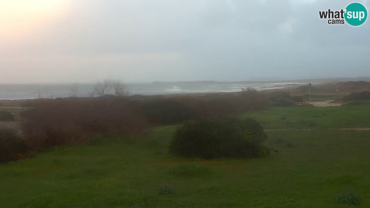 Mari Ermi Strand | Is Arutas – Oristano