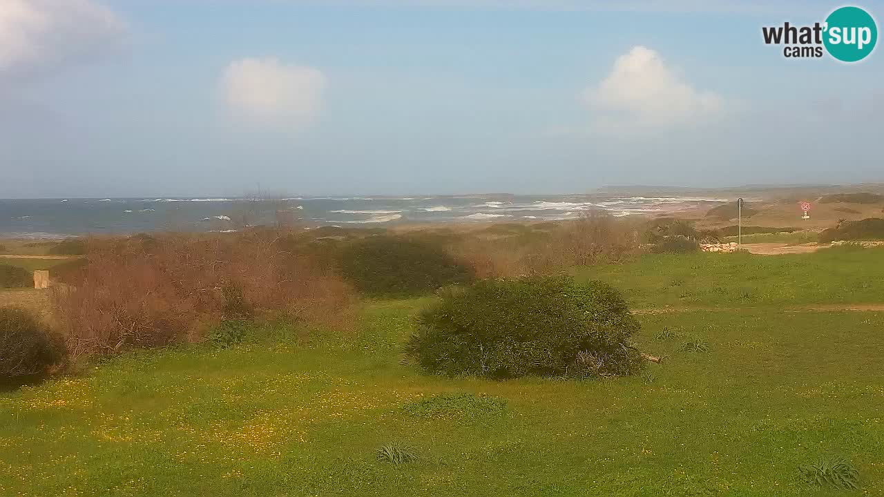 Mari Ermi beach | Is Arutas – Oristano