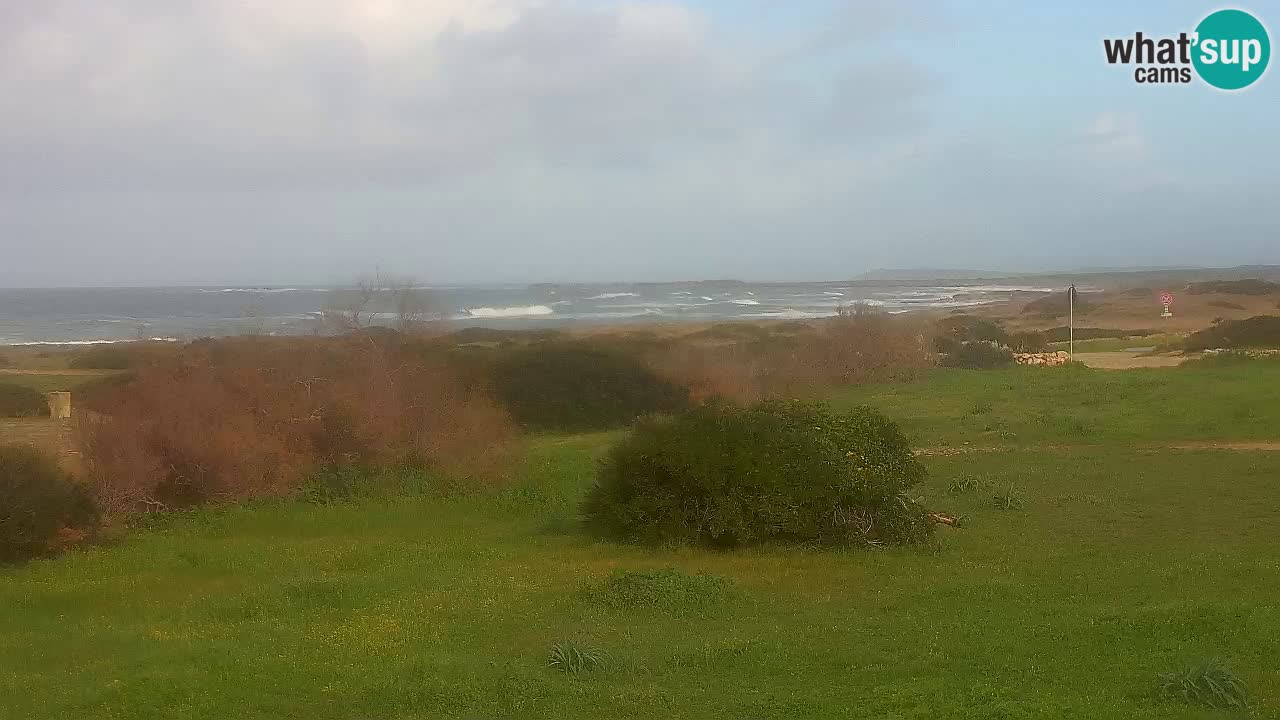 Plage Mari Ermi | Is Arutas – Oristano