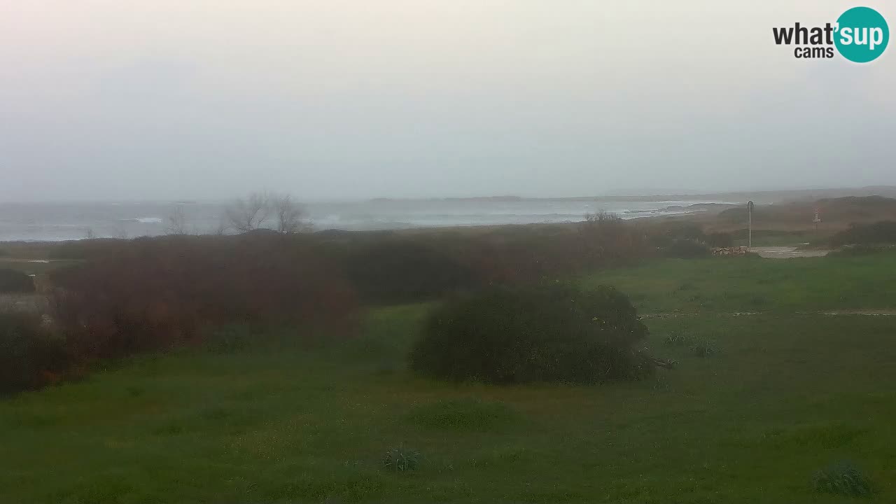 Plage Mari Ermi | Is Arutas – Oristano