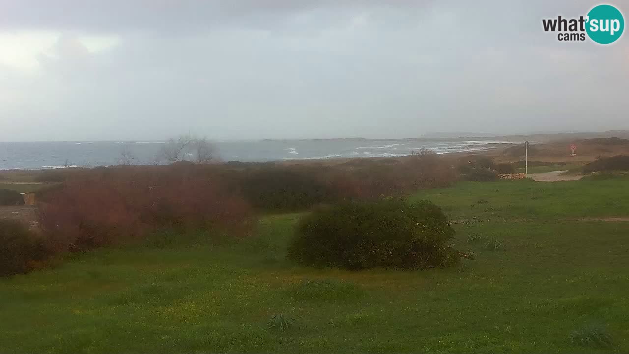 Spiaggia Mari Ermi | Is Arutas – Oristano