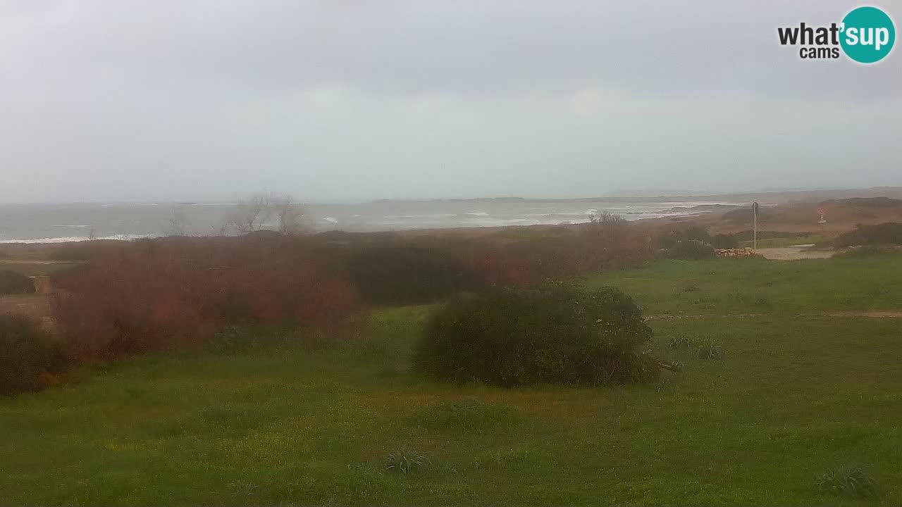 Mari Ermi Strand | Is Arutas – Oristano