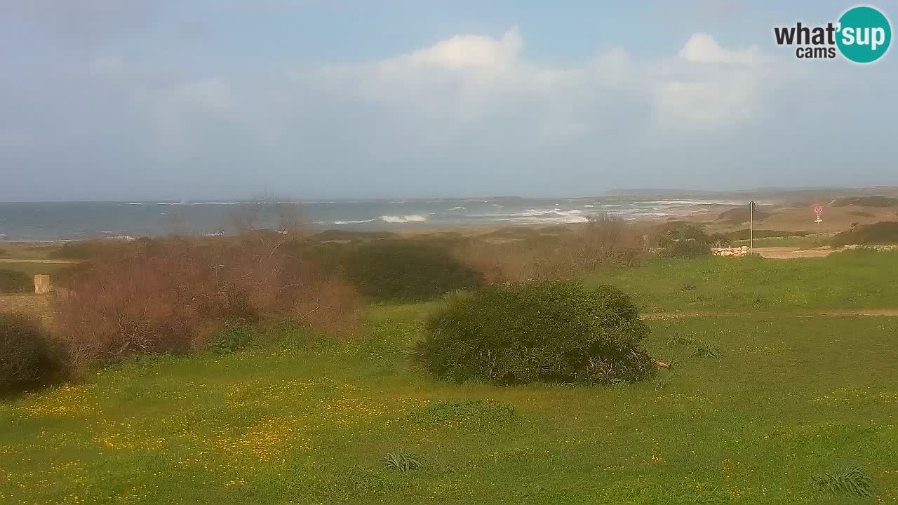 Plage Mari Ermi | Is Arutas – Oristano