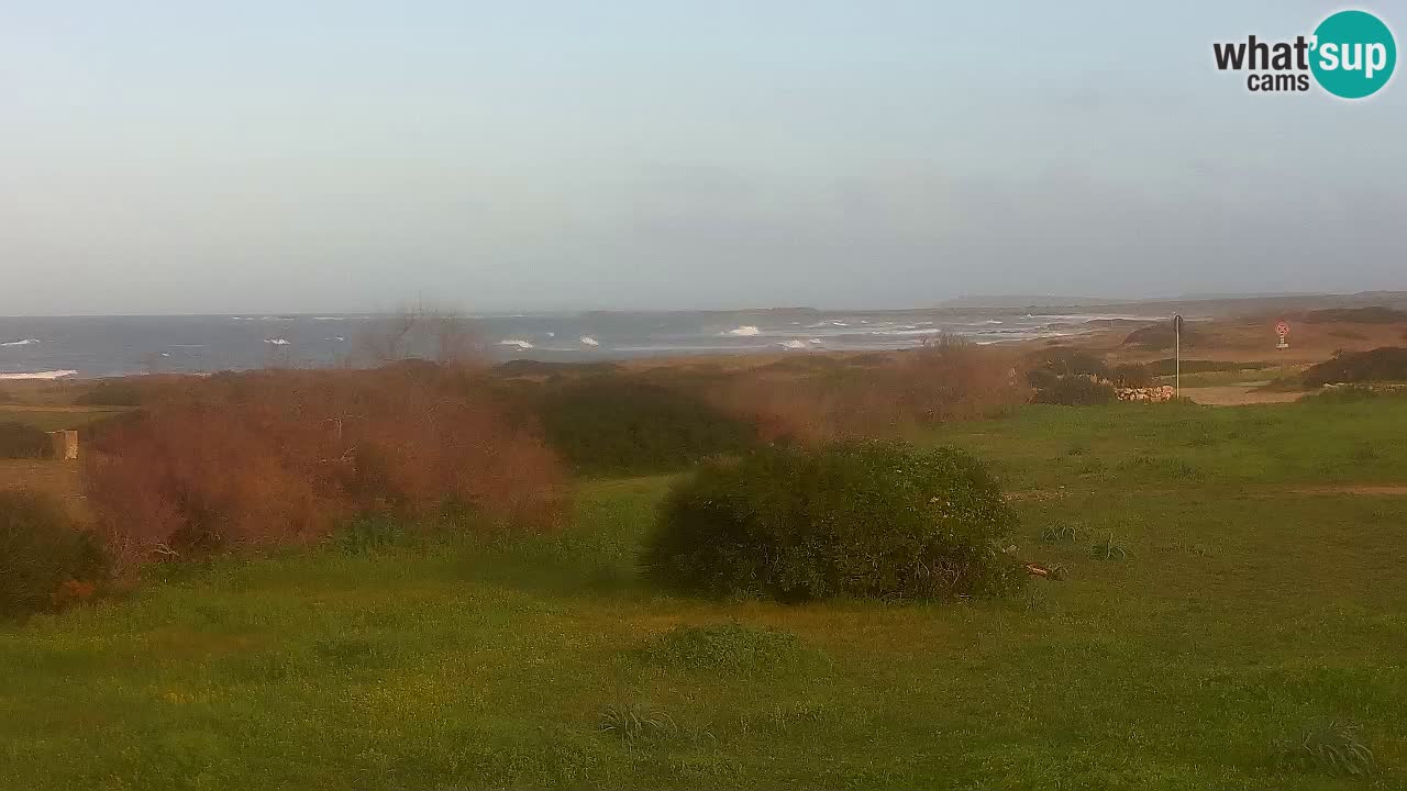 Playa Mari Ermi | Is Arutas – Oristano