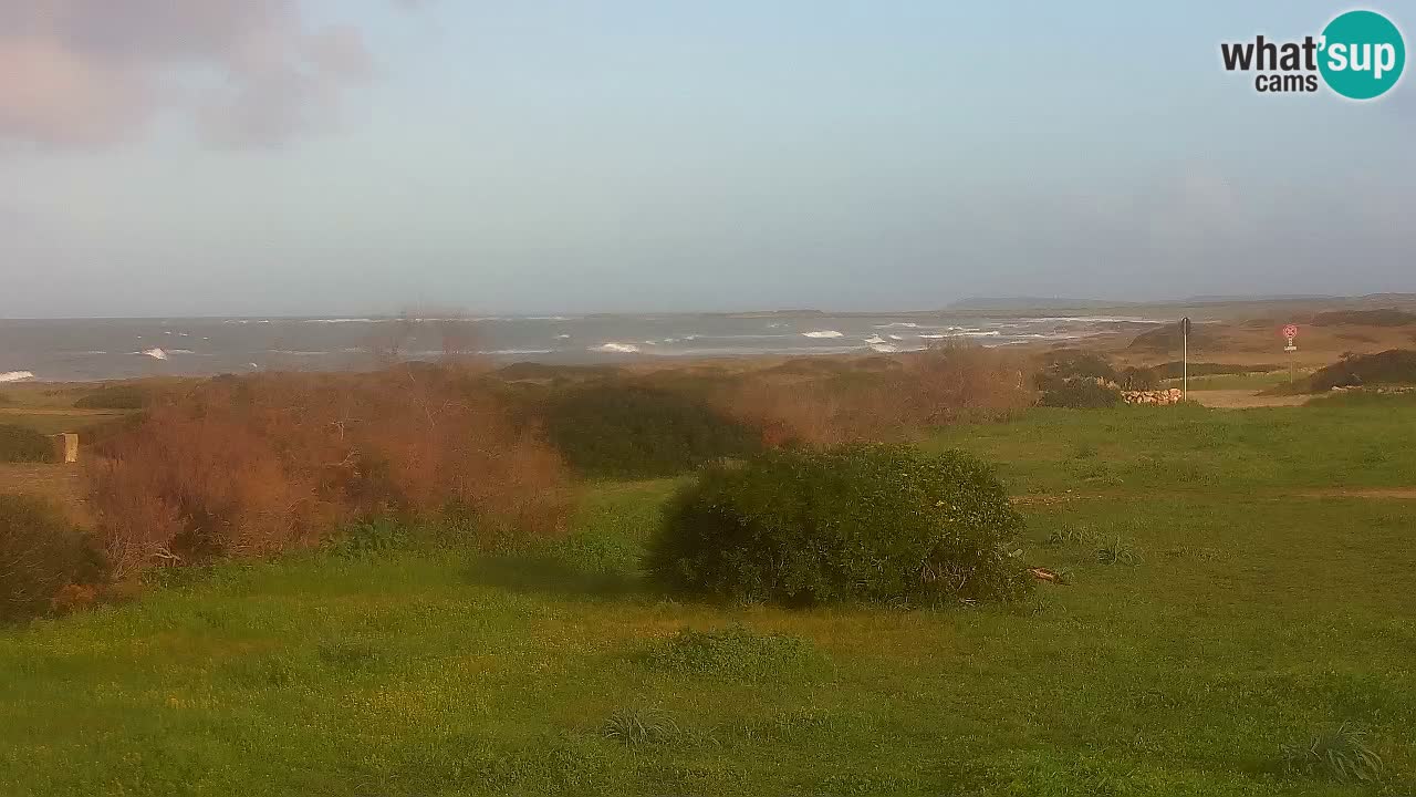 Plaža Mari Ermi | Is Arutas – Oristano