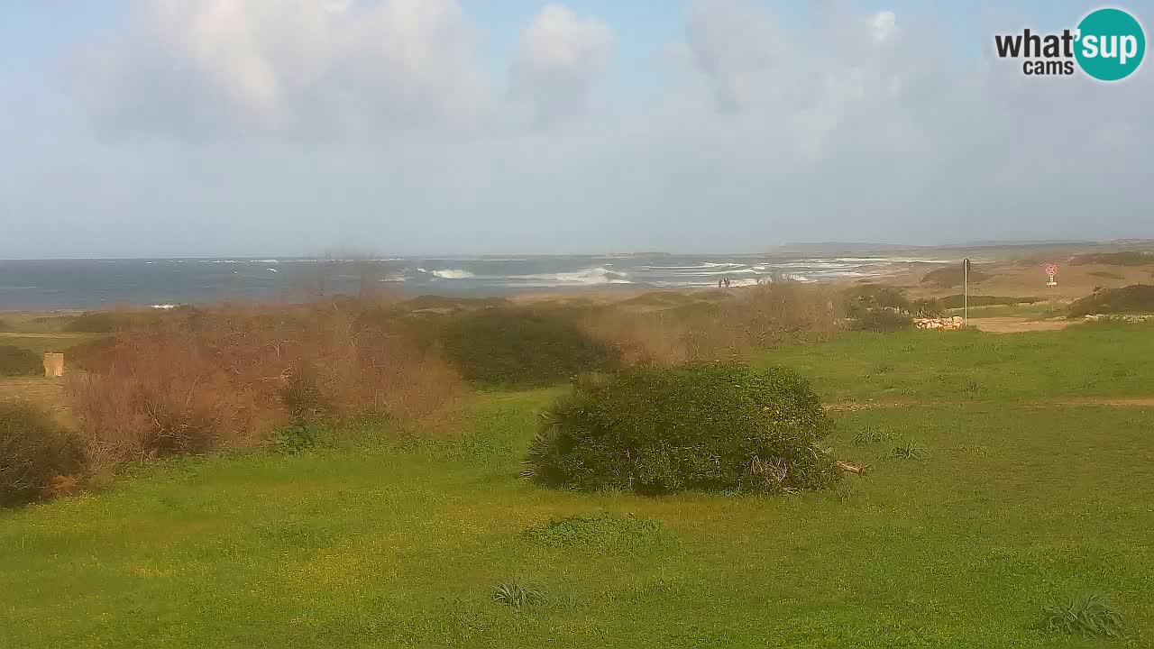 Plaža Mari Ermi | Is Arutas – Oristano