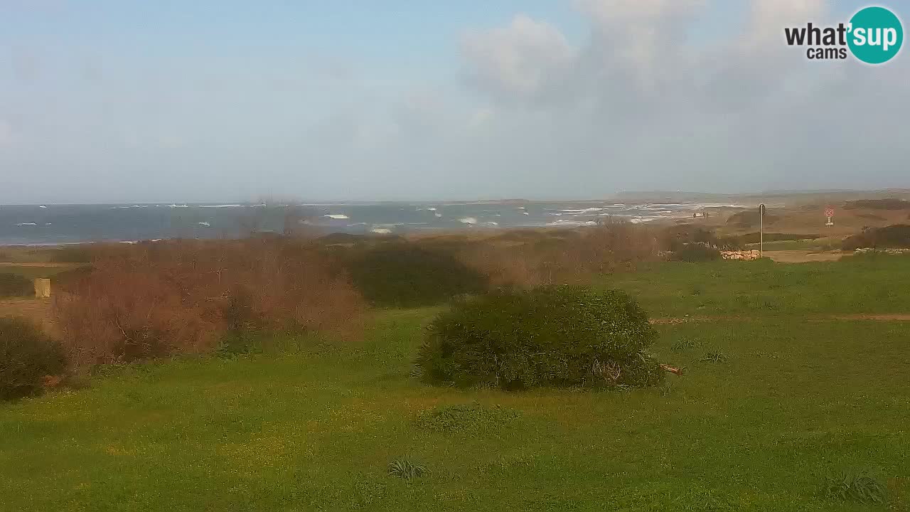 Spiaggia Mari Ermi | Is Arutas – Oristano