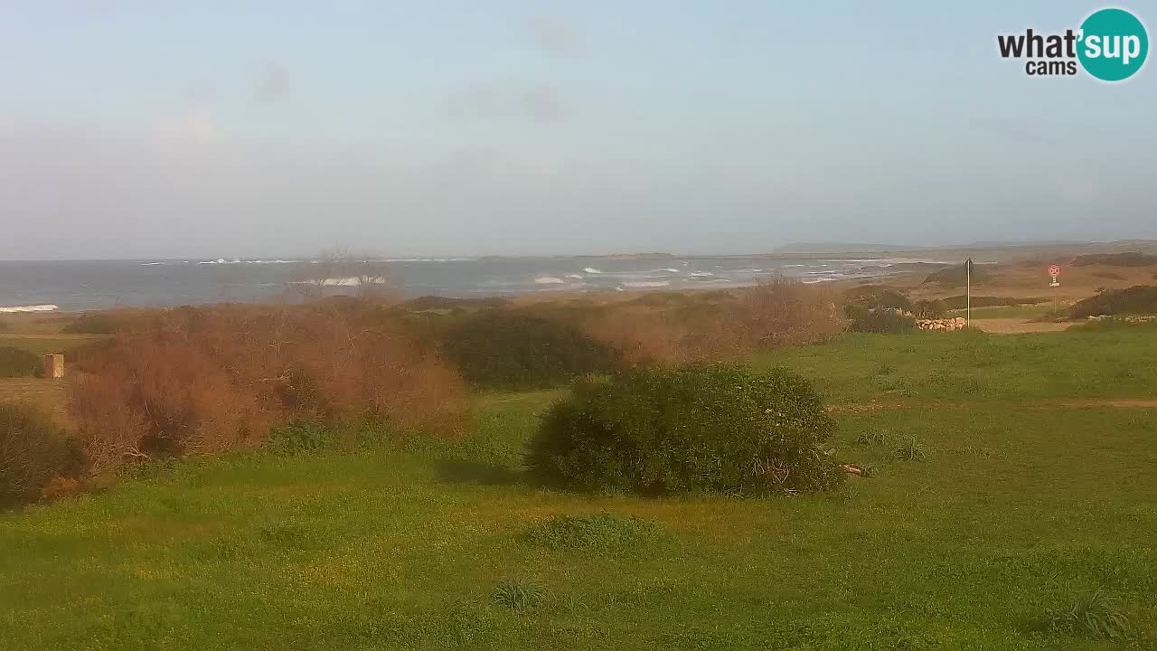 Playa Mari Ermi | Is Arutas – Oristano