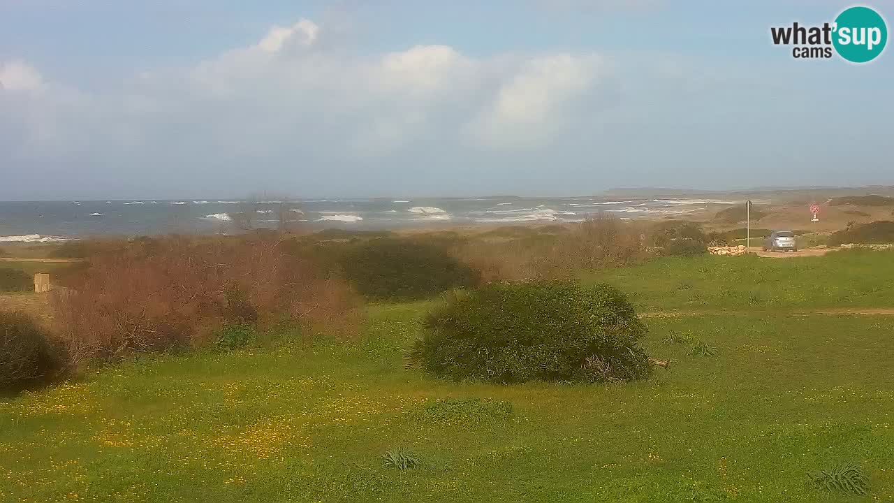 Plage Mari Ermi | Is Arutas – Oristano