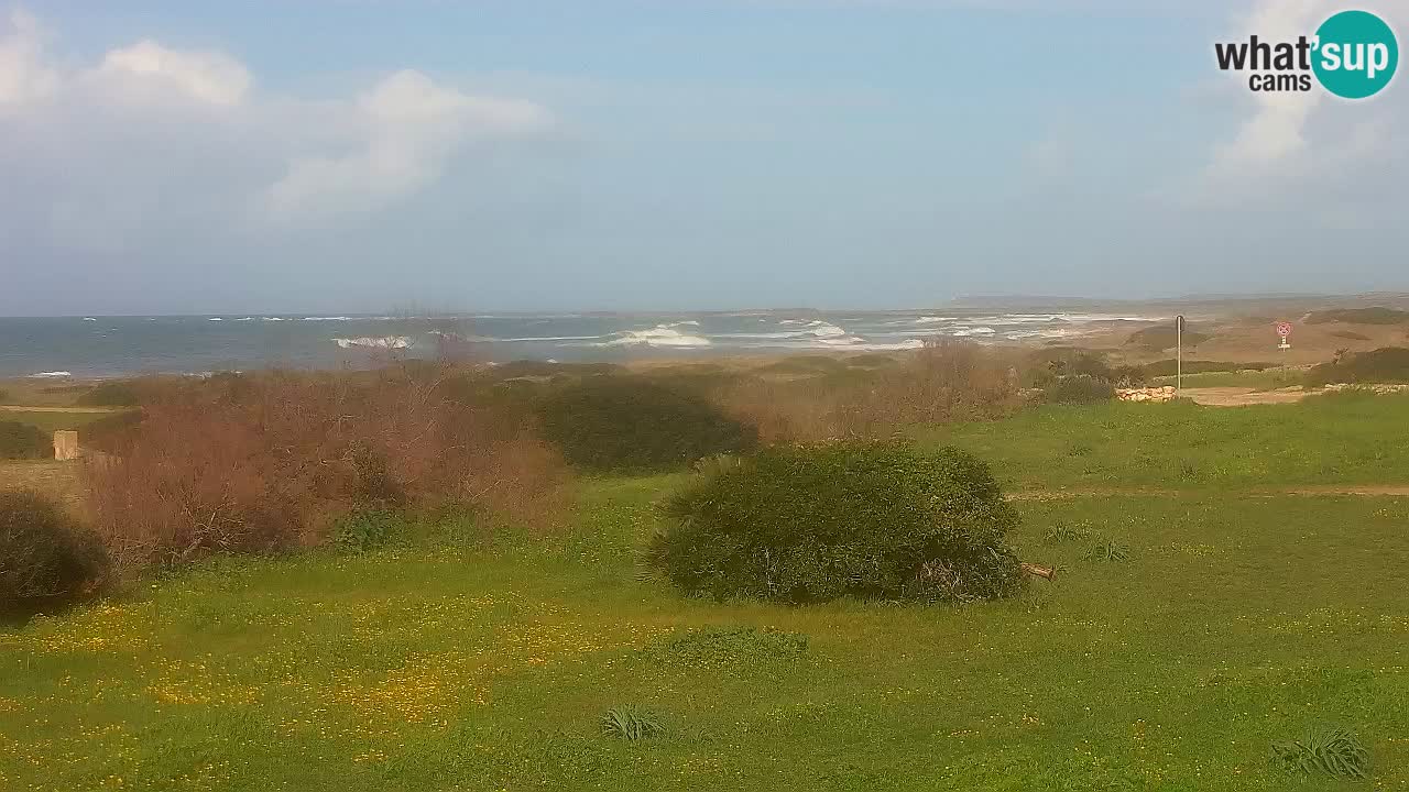 Mari Ermi beach | Is Arutas – Oristano