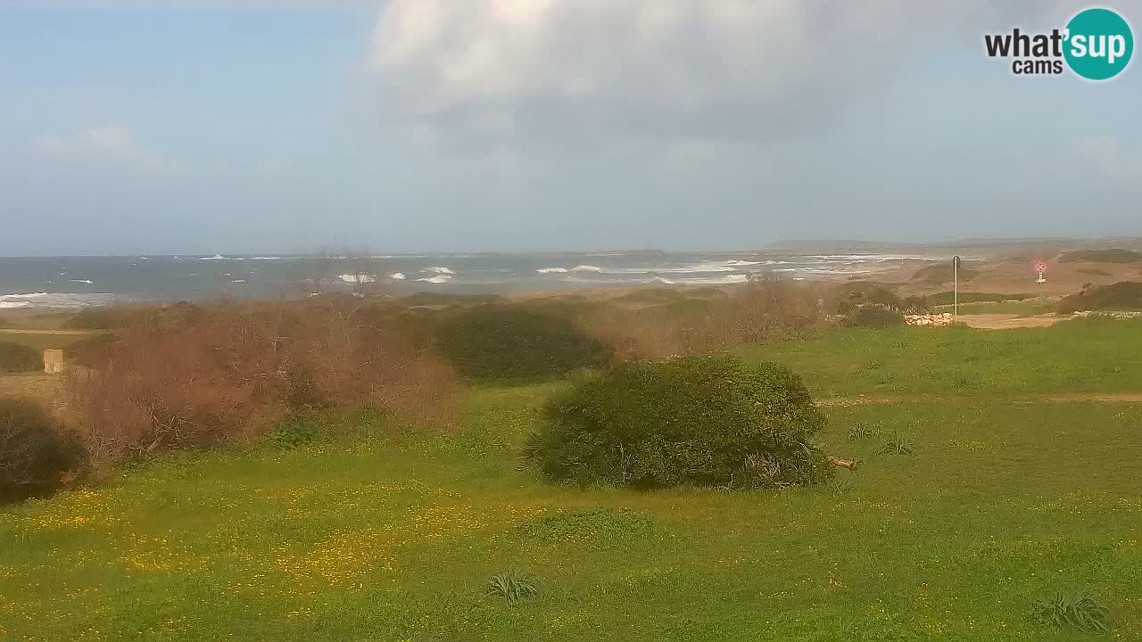 Plage Mari Ermi | Is Arutas – Oristano