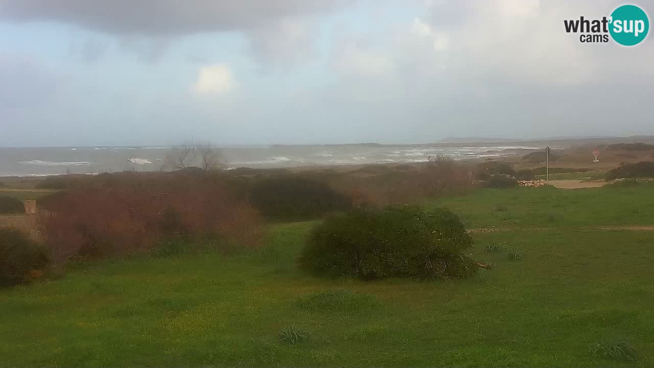 Mari Ermi beach | Is Arutas – Oristano