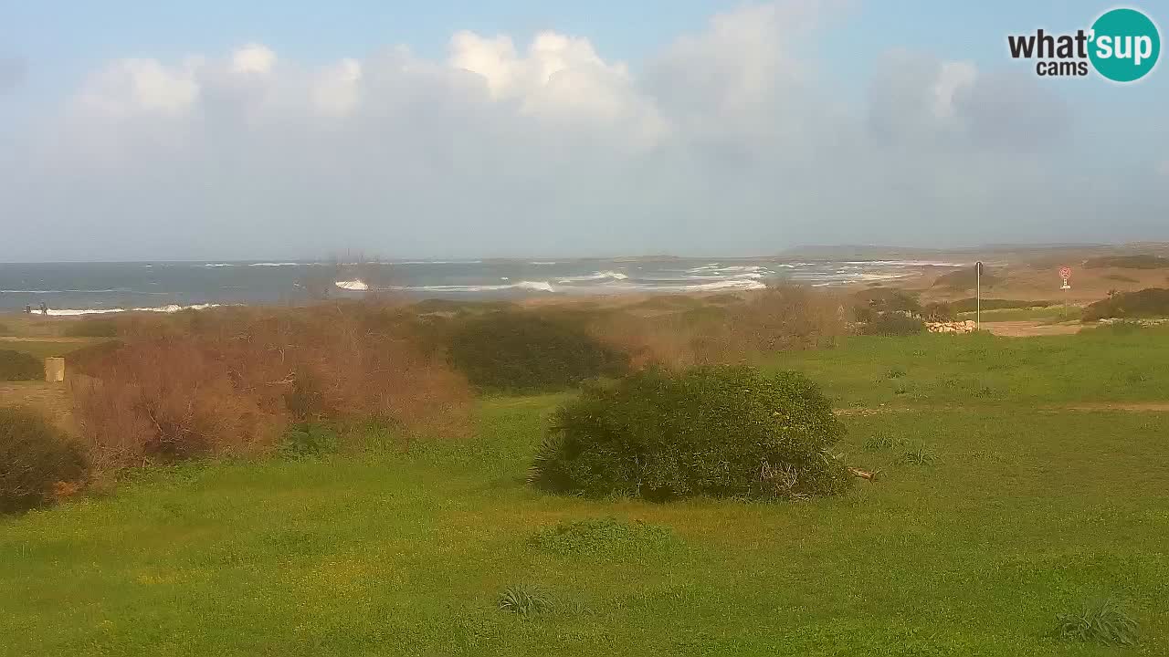 Spiaggia Mari Ermi | Is Arutas – Oristano