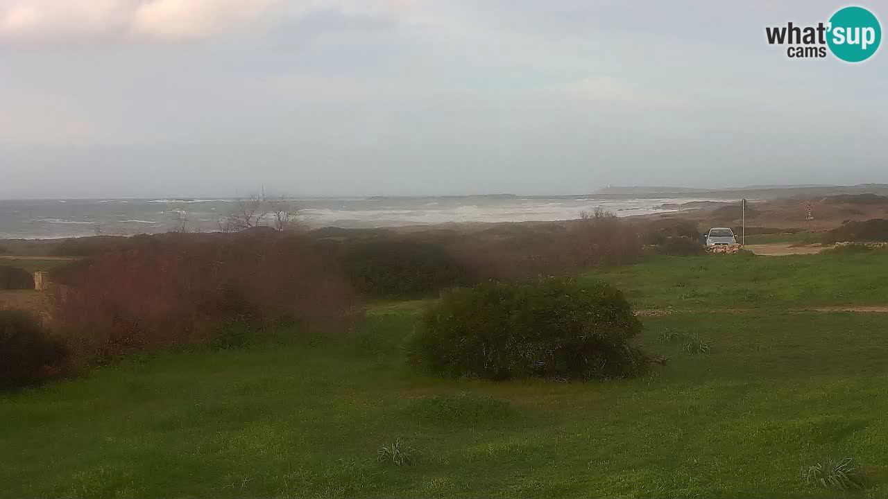 Mari Ermi Strand | Is Arutas – Oristano