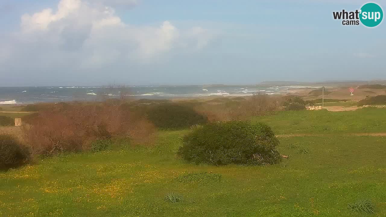 Plaža Mari Ermi | Is Arutas – Oristano