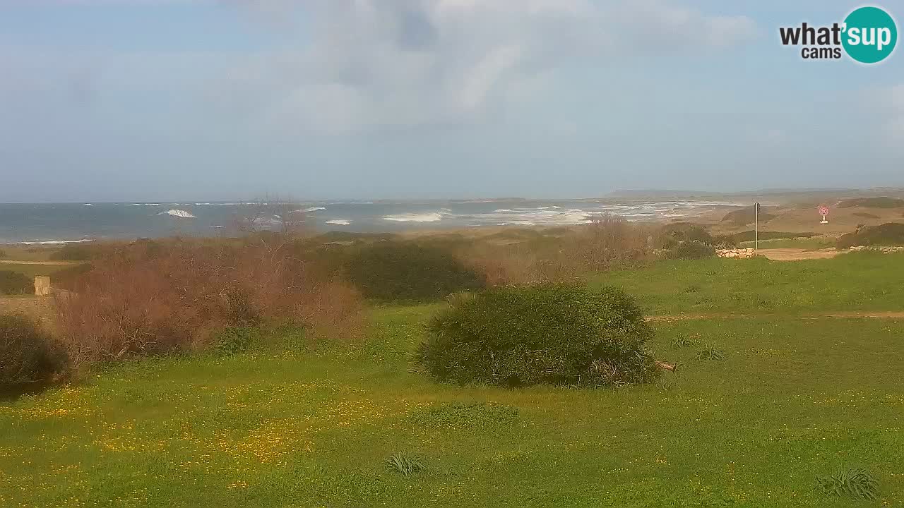 Mari Ermi Strand | Is Arutas – Oristano