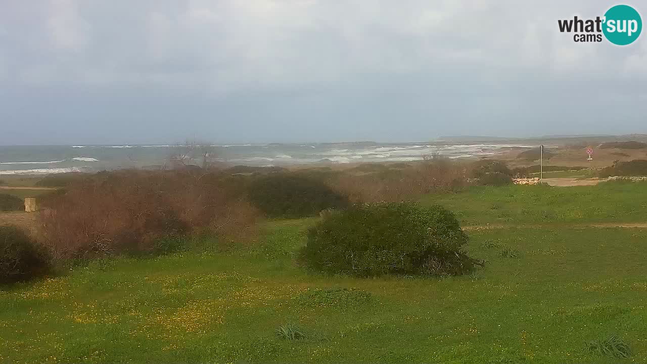 Spiaggia Mari Ermi | Is Arutas – Oristano