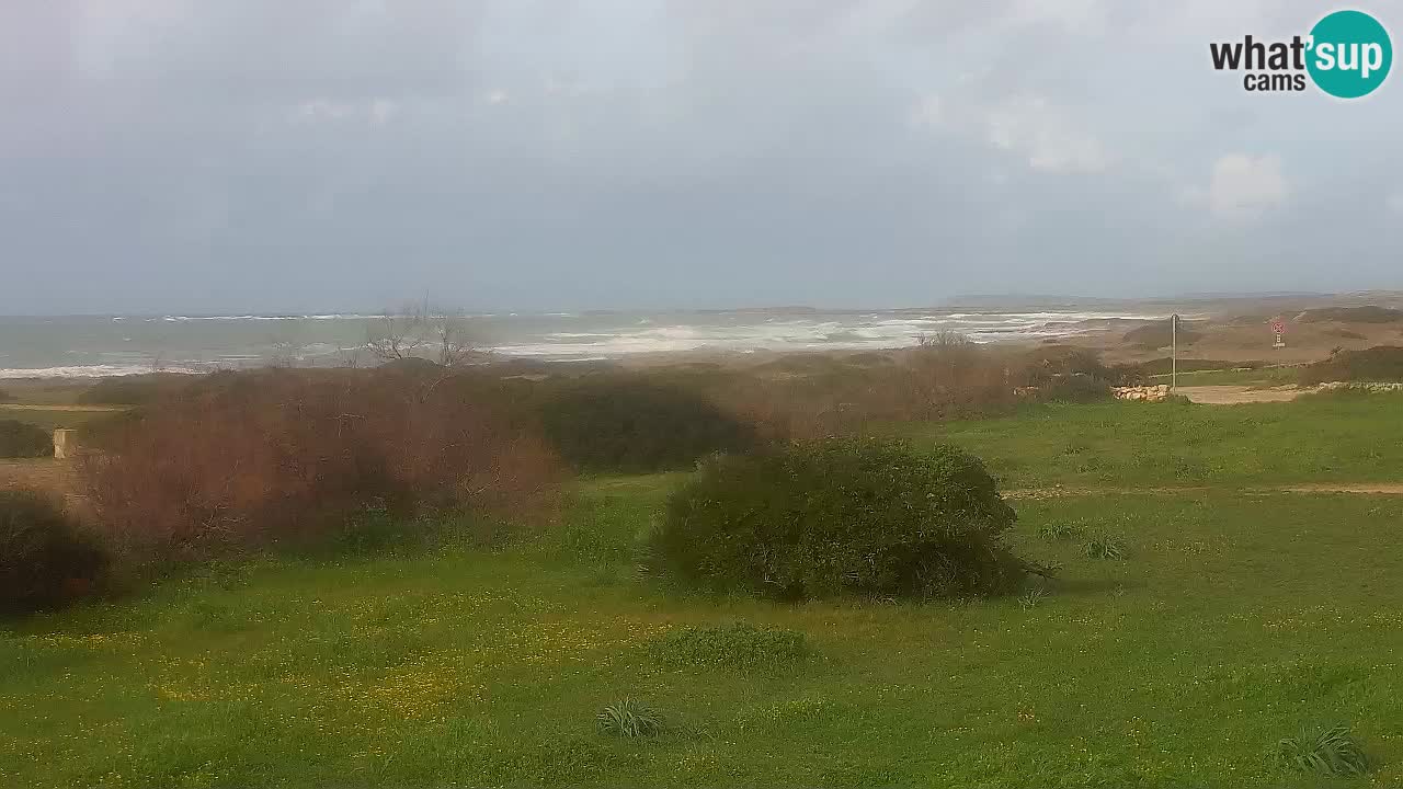 Spiaggia Mari Ermi | Is Arutas – Oristano