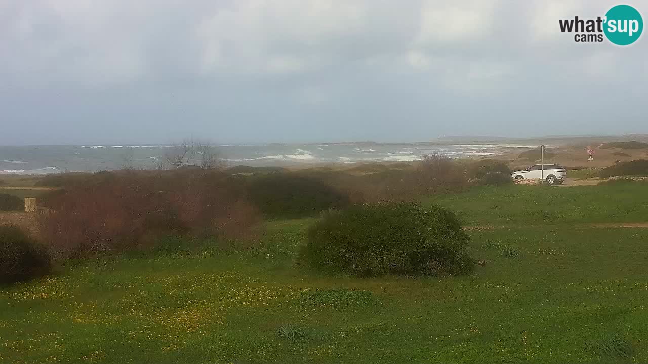 Mari Ermi Strand | Is Arutas – Oristano