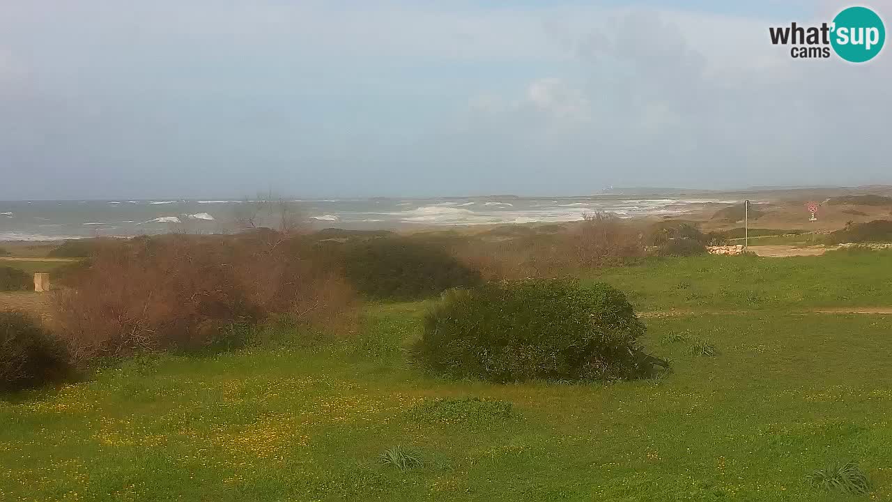 Spiaggia Mari Ermi | Is Arutas – Oristano