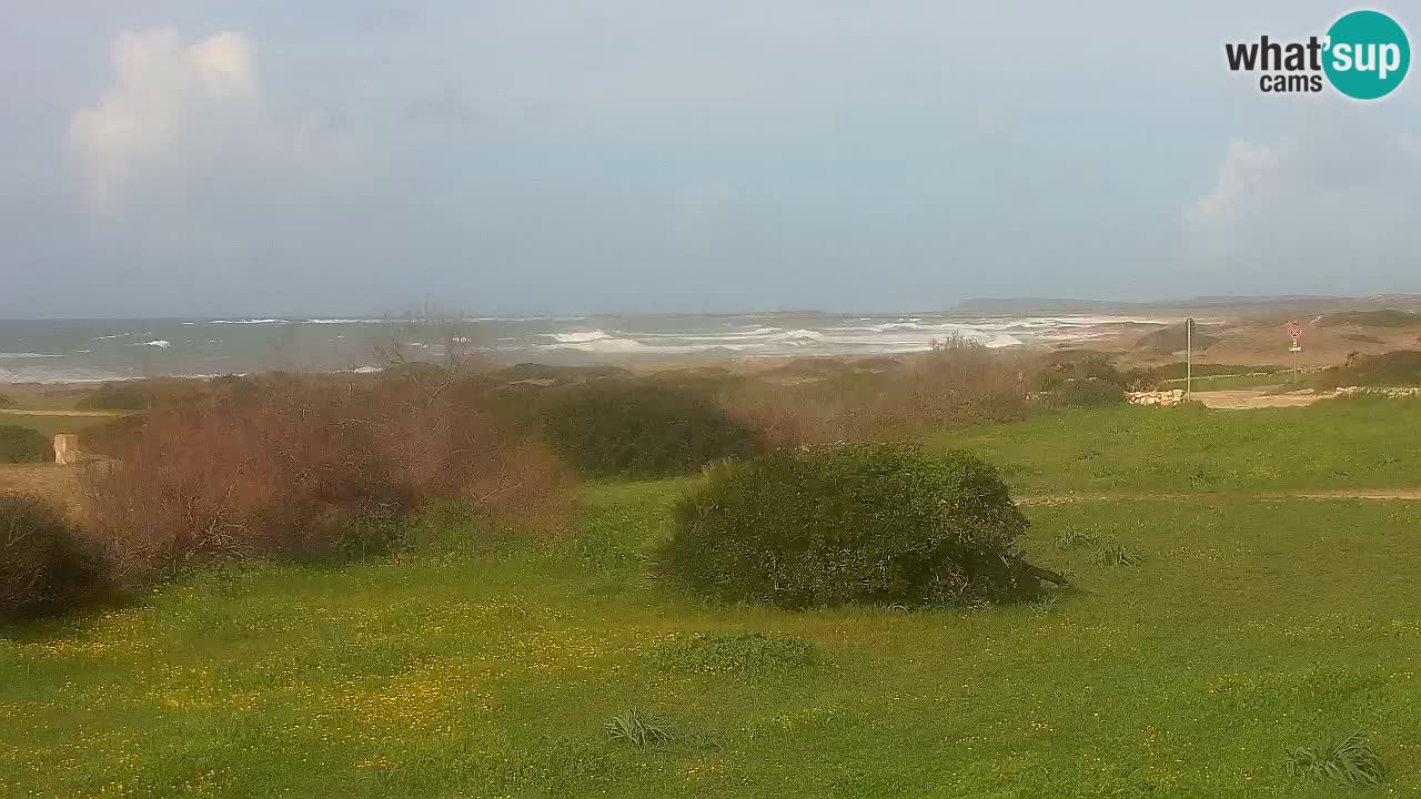 Spiaggia Mari Ermi | Is Arutas – Oristano