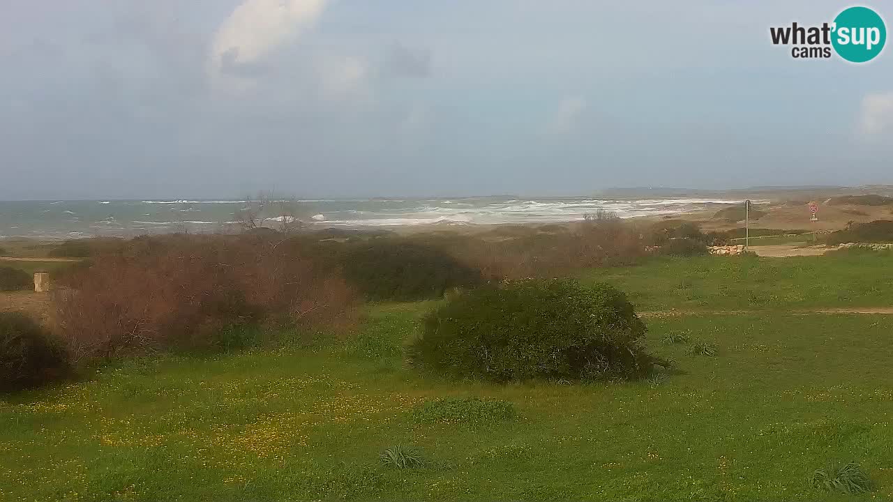 Mari Ermi beach | Is Arutas – Oristano