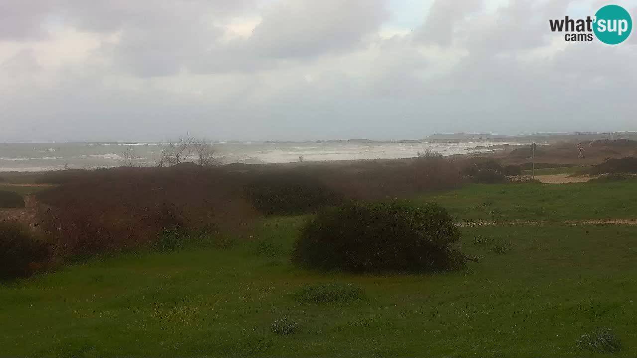 Mari Ermi beach | Is Arutas – Oristano