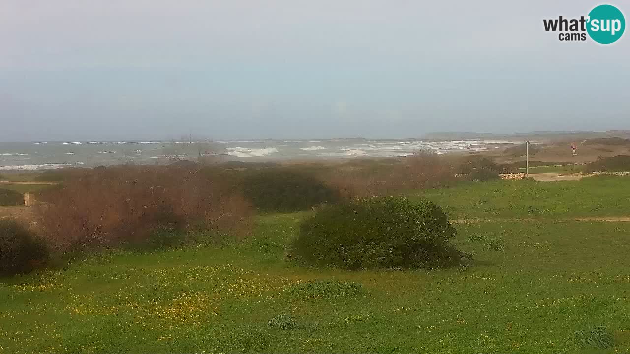 Spiaggia Mari Ermi | Is Arutas – Oristano