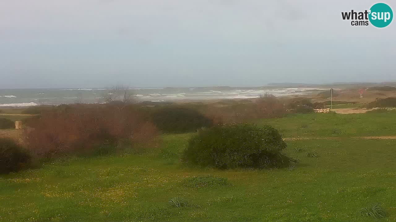Spiaggia Mari Ermi | Is Arutas – Oristano