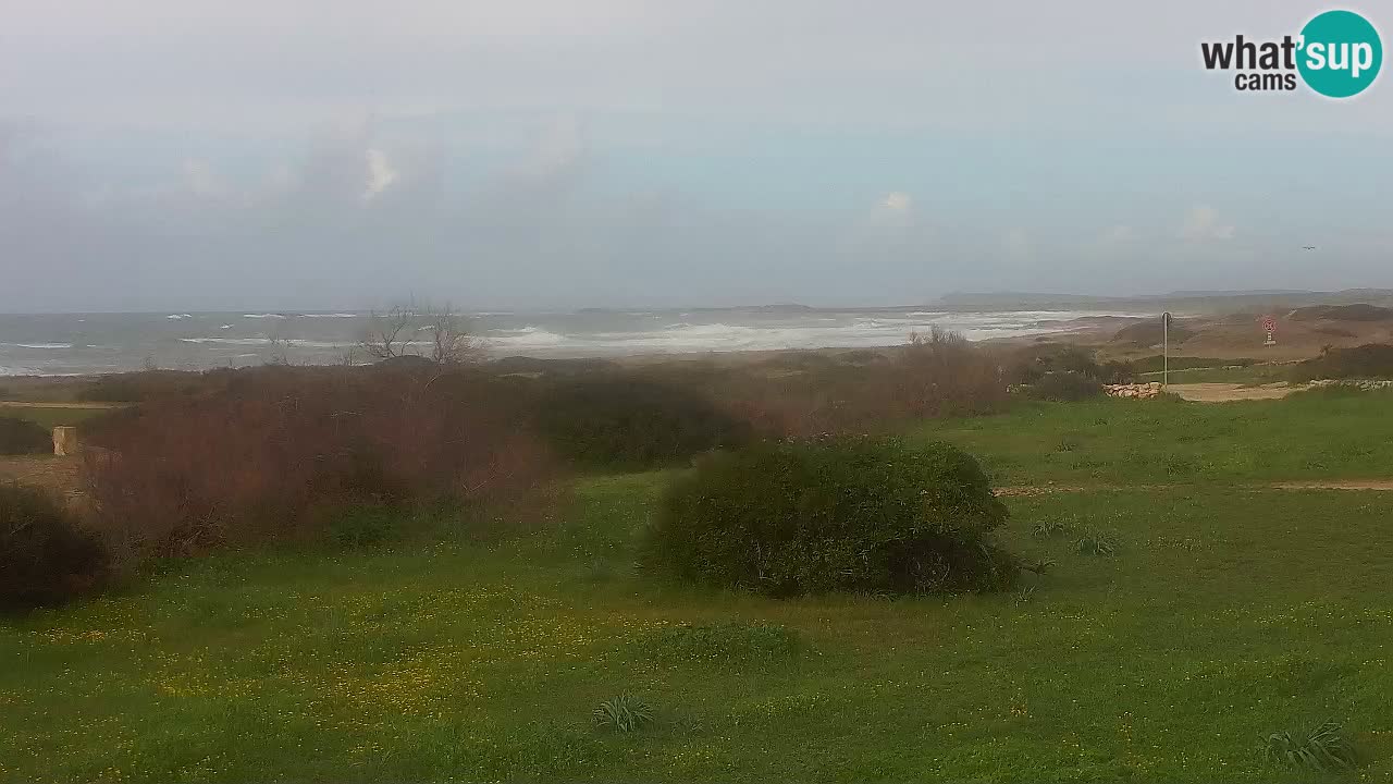 Spiaggia Mari Ermi | Is Arutas – Oristano