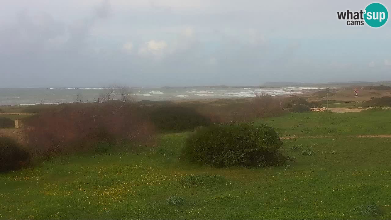 Plaža Mari Ermi | Is Arutas – Oristano