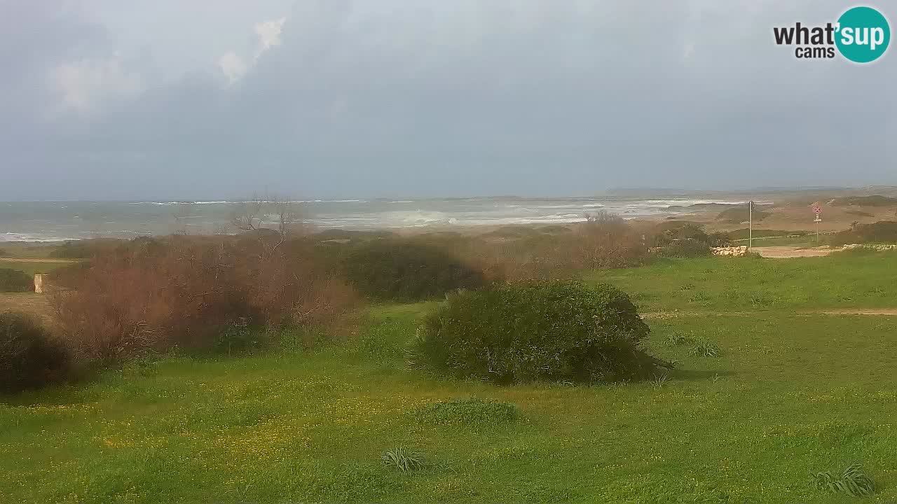 Plage Mari Ermi | Is Arutas – Oristano