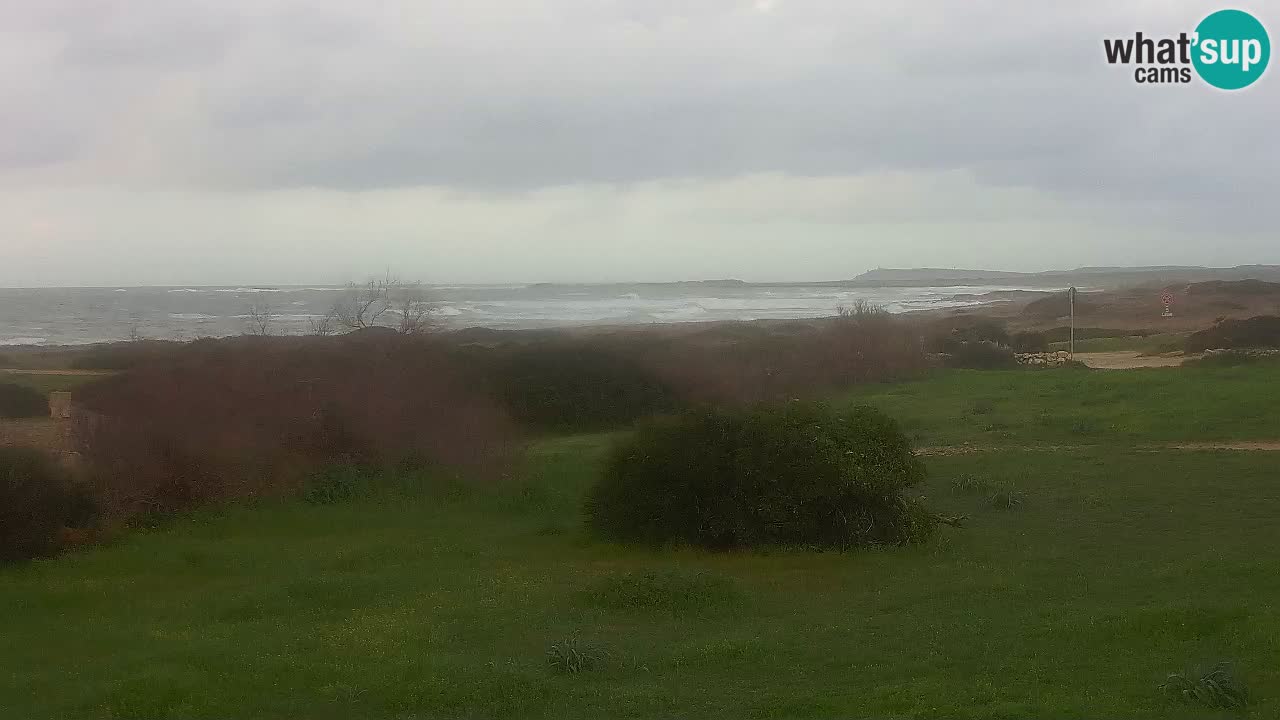 Mari Ermi beach | Is Arutas – Oristano