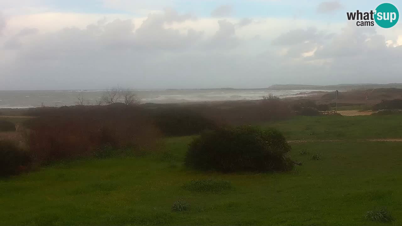 Mari Ermi beach | Is Arutas – Oristano