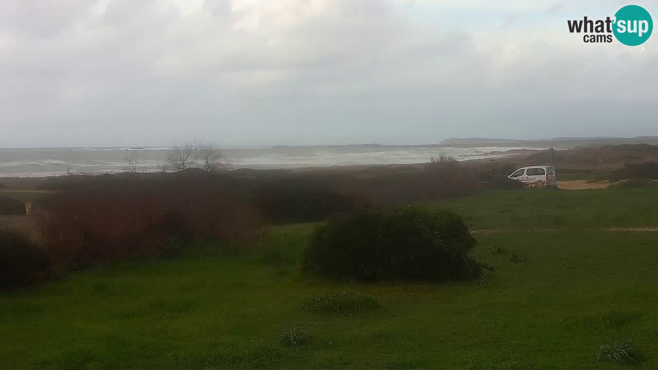 Plage Mari Ermi | Is Arutas – Oristano