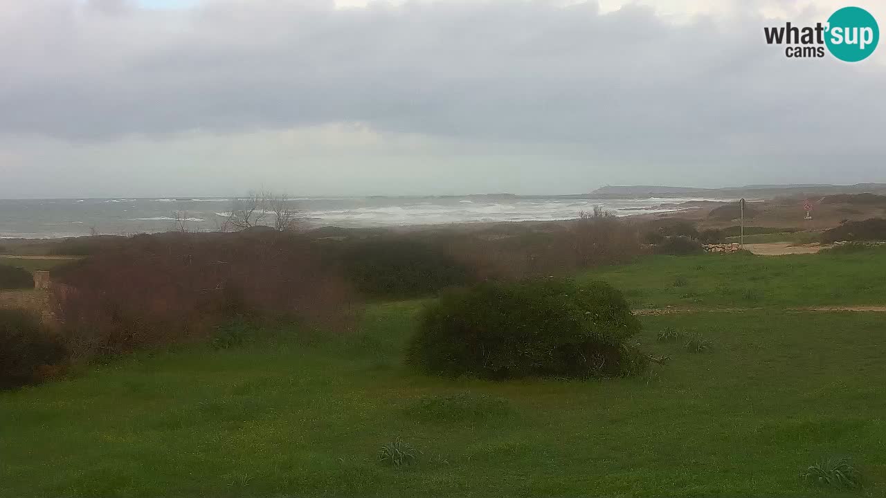 Mari Ermi beach | Is Arutas – Oristano