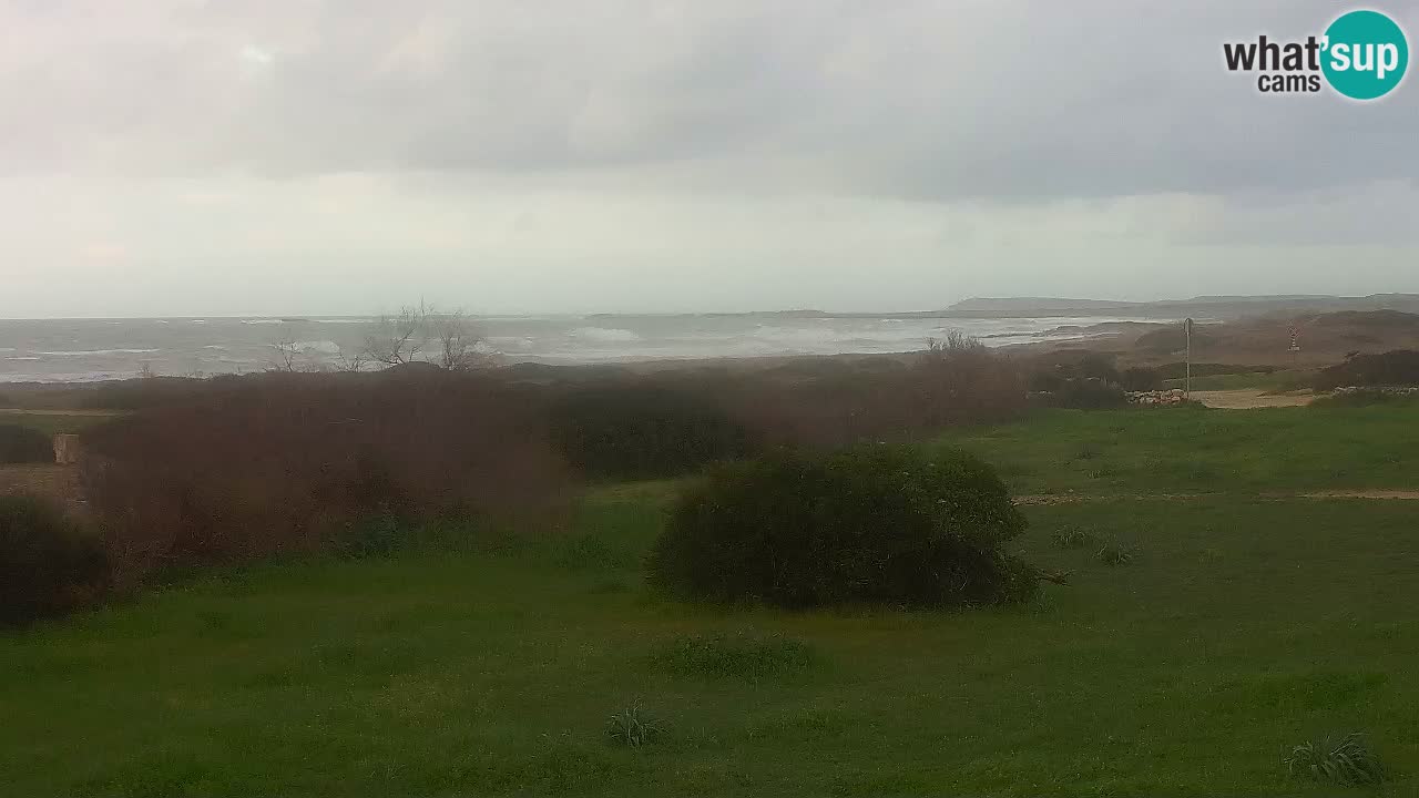 Mari Ermi beach | Is Arutas – Oristano